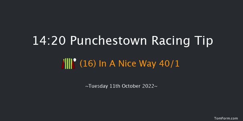 Punchestown 14:20 Handicap Hurdle 16f Tue 13th Sep 2022