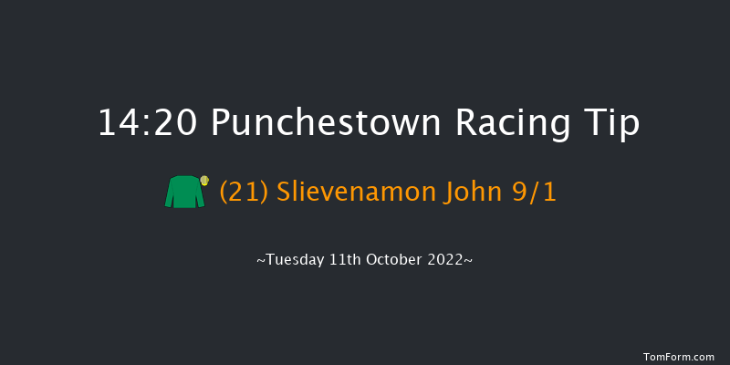 Punchestown 14:20 Handicap Hurdle 16f Tue 13th Sep 2022