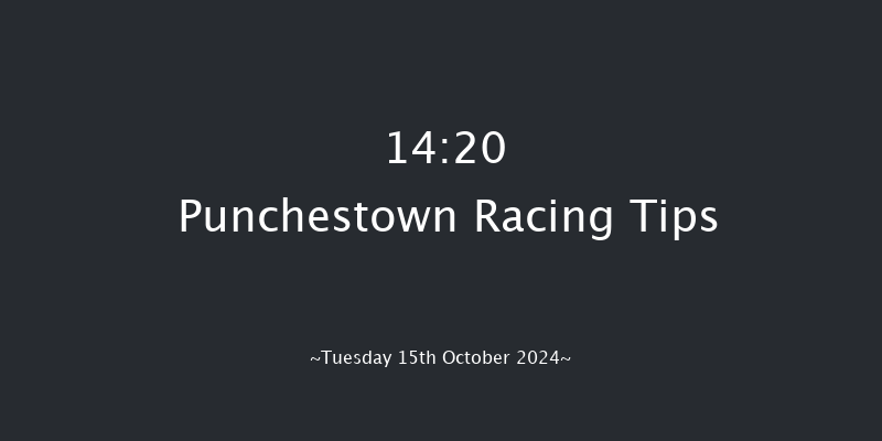 Punchestown  14:20 Conditions Hurdle 16f Tue 17th Sep 2024