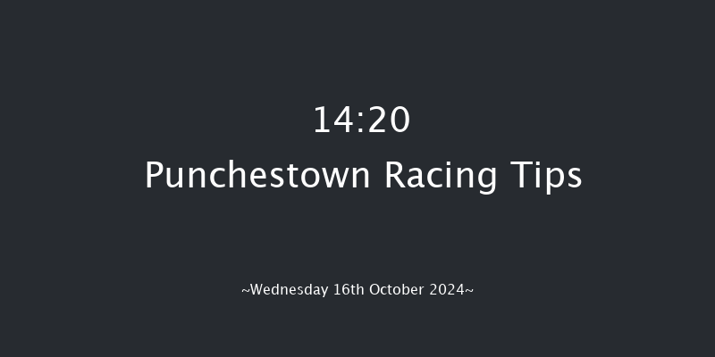 Punchestown  14:20 Handicap Hurdle 16f Tue 15th Oct 2024