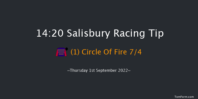 Salisbury 14:20 Stakes (Class 4) 8f Fri 19th Aug 2022