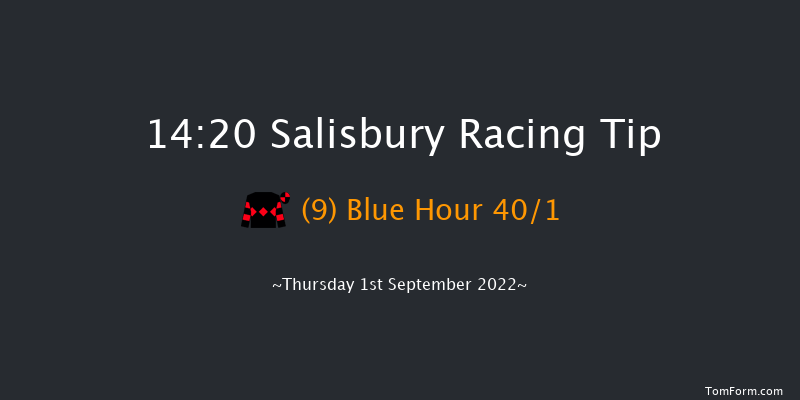 Salisbury 14:20 Stakes (Class 4) 8f Fri 19th Aug 2022