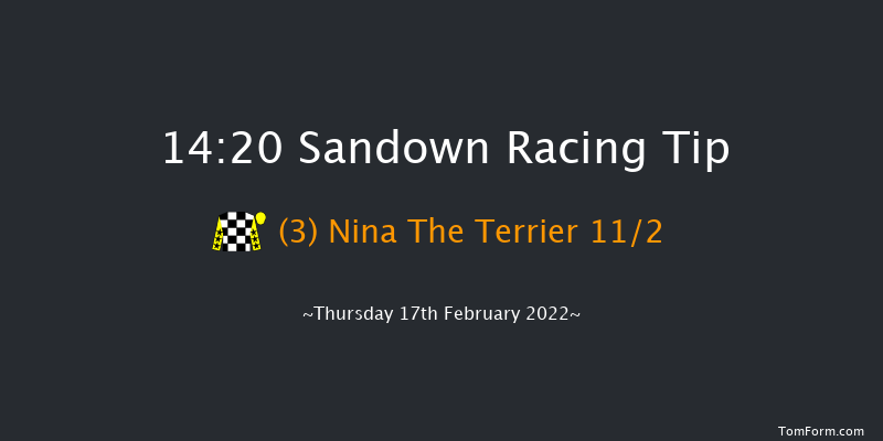 Sandown 14:20 Novices Hurdle (Class 1) 20f Sat 5th Feb 2022