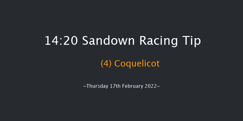 Sandown 14:20 Novices Hurdle (Class 1) 20f Sat 5th Feb 2022