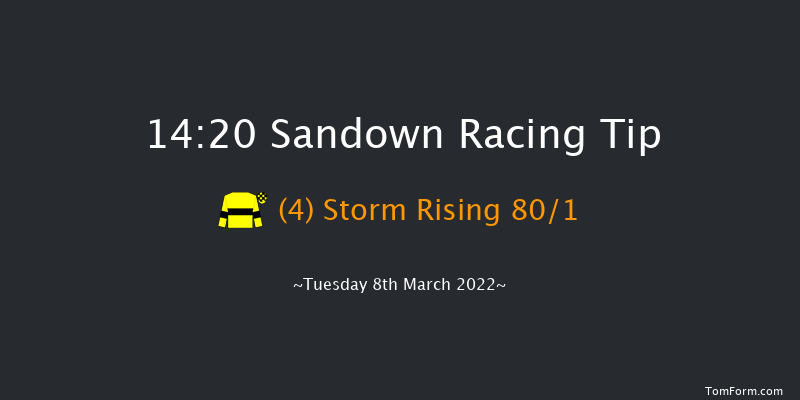 Sandown 14:20 Handicap Hurdle (Class 4) 16f Thu 17th Feb 2022