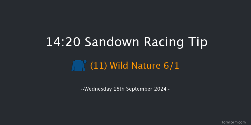 Sandown  14:20 Maiden (Class 4) 8f Fri 13th Sep 2024