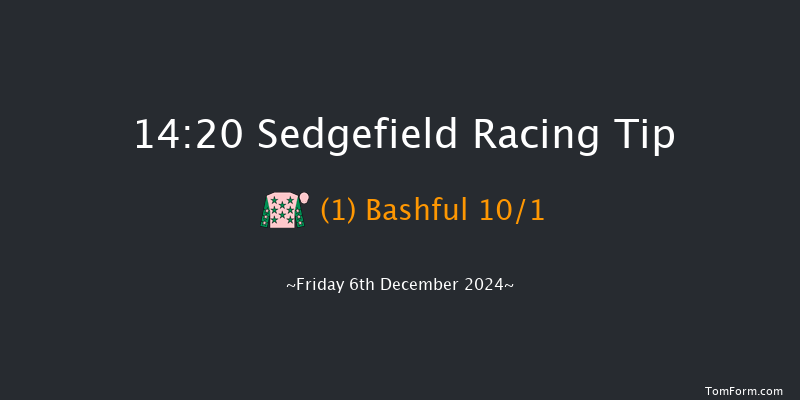 Sedgefield  14:20 Handicap Hurdle (Class 5) 17f Tue 26th Nov 2024