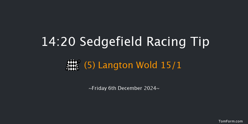 Sedgefield  14:20 Handicap Hurdle (Class 5) 17f Tue 26th Nov 2024