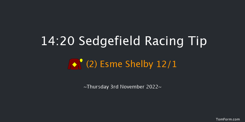 Sedgefield 14:20 Handicap Chase (Class 5) 19f Sun 16th Oct 2022