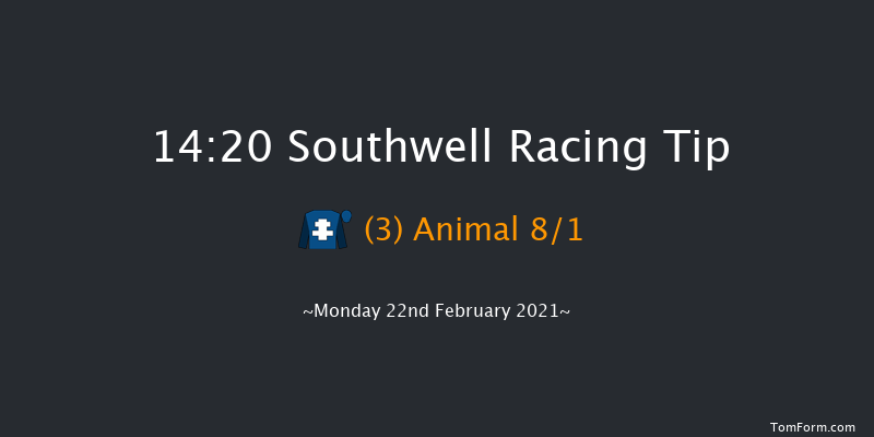 Visit attheraces.com/cheltenham Novices' Hurdle (GBB Race) Southwell 14:20 Maiden Hurdle (Class 4) 20f Fri 19th Feb 2021