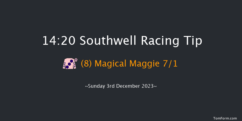 Southwell 14:20 Stakes (Class 4) 16f Tue 28th Nov 2023