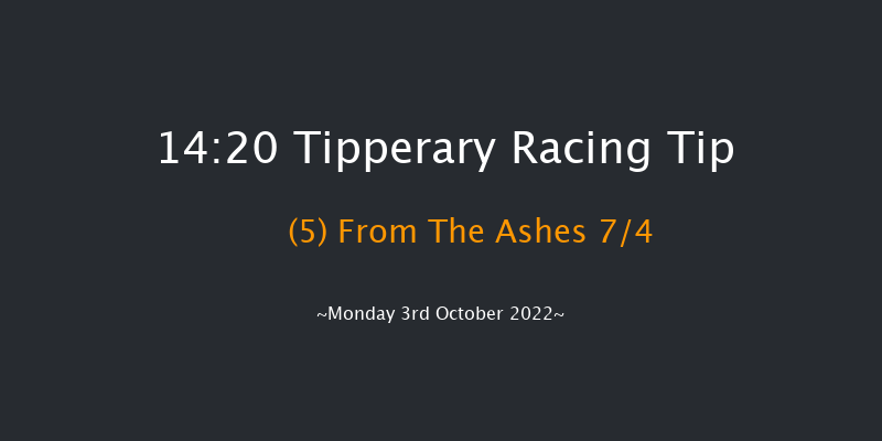 Tipperary 14:20 Maiden Hurdle 16f Sun 2nd Oct 2022