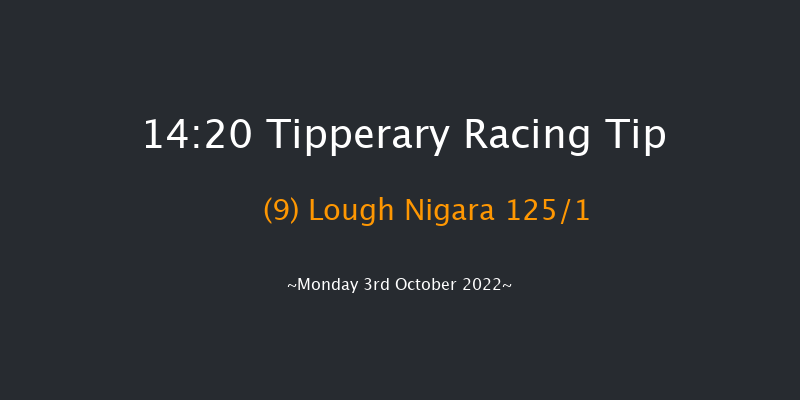 Tipperary 14:20 Maiden Hurdle 16f Sun 2nd Oct 2022