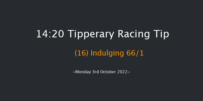 Tipperary 14:20 Maiden Hurdle 16f Sun 2nd Oct 2022