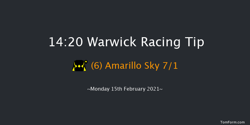 Paddys Rewards Club Handicap Hurdle Warwick 14:20 Handicap Hurdle (Class 4) 16f Wed 3rd Feb 2021