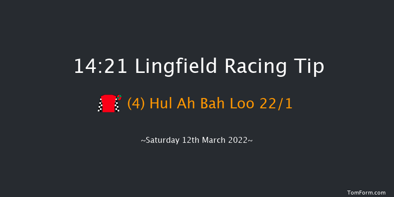 Lingfield 14:21 Stakes (Class 5) 8f Wed 9th Mar 2022