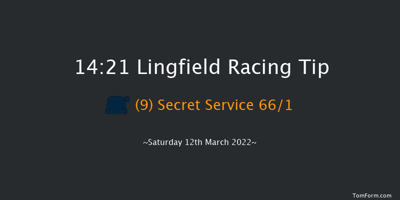 Lingfield 14:21 Stakes (Class 5) 8f Wed 9th Mar 2022