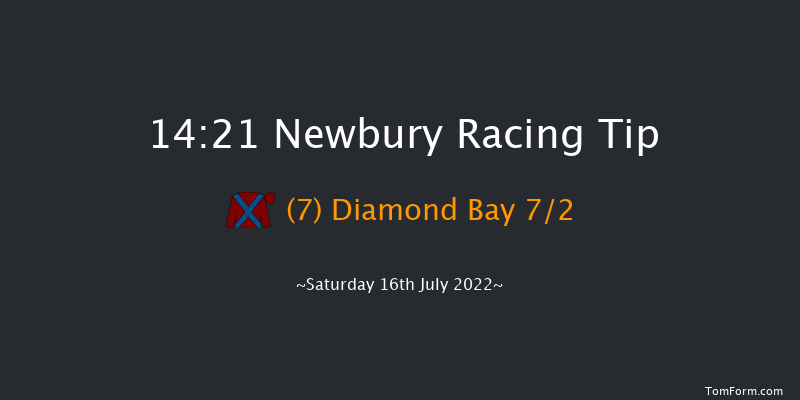 Newbury 14:21 Handicap (Class 2) 16f Fri 15th Jul 2022