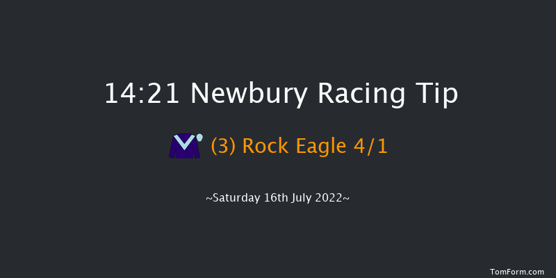 Newbury 14:21 Handicap (Class 2) 16f Fri 15th Jul 2022