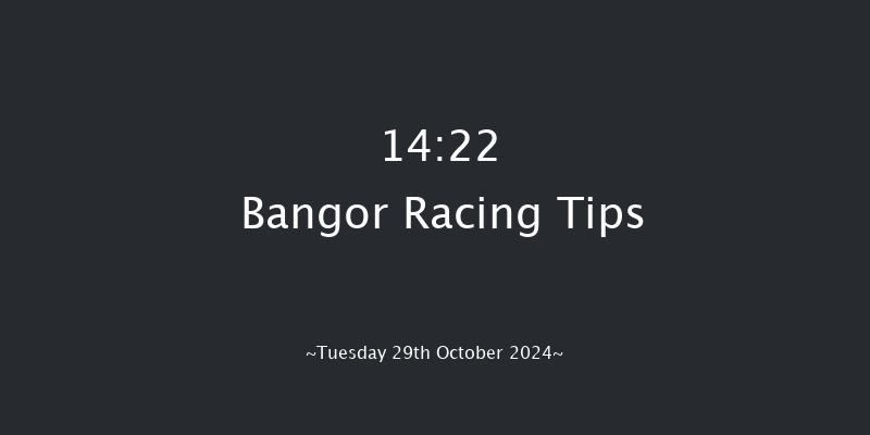 Bangor-on-dee  14:22 Handicap Chase (Class 4) 24f Fri 6th Sep 2024