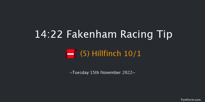 Fakenham 14:22 Handicap Hurdle (Class 4) 16f Wed 26th Oct 2022