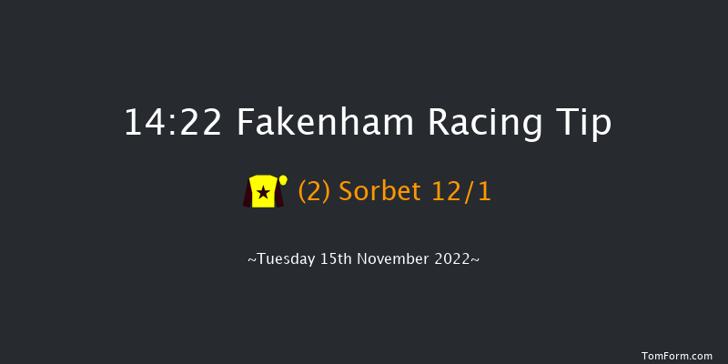 Fakenham 14:22 Handicap Hurdle (Class 4) 16f Wed 26th Oct 2022