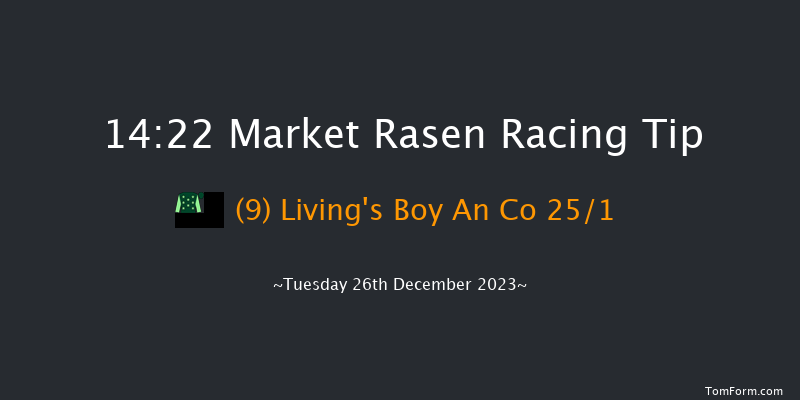 Market Rasen 14:22 Handicap Hurdle (Class 5) 21f Thu 7th Dec 2023