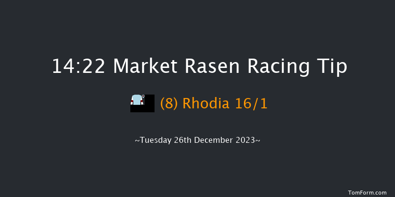 Market Rasen 14:22 Handicap Hurdle (Class 5) 21f Thu 7th Dec 2023