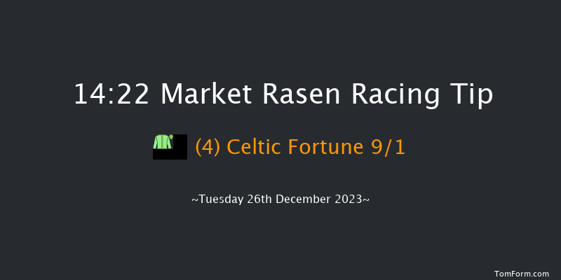 Market Rasen 14:22 Handicap Hurdle (Class 5) 21f Thu 7th Dec 2023