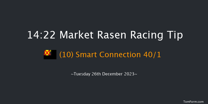 Market Rasen 14:22 Handicap Hurdle (Class 5) 21f Thu 7th Dec 2023