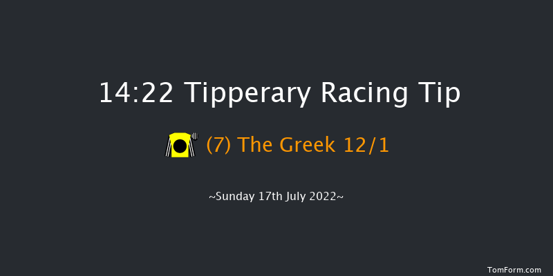 Tipperary 14:22 Beginners Chase 17f Thu 30th Jun 2022