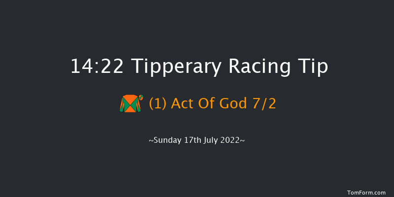 Tipperary 14:22 Beginners Chase 17f Thu 30th Jun 2022