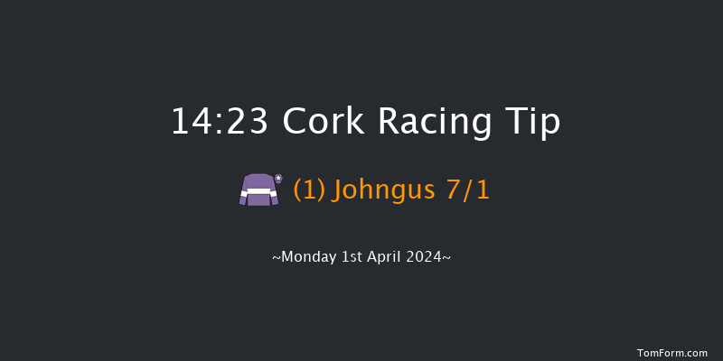 Cork  14:23 Handicap Hurdle 16f Sun 31st Mar 2024