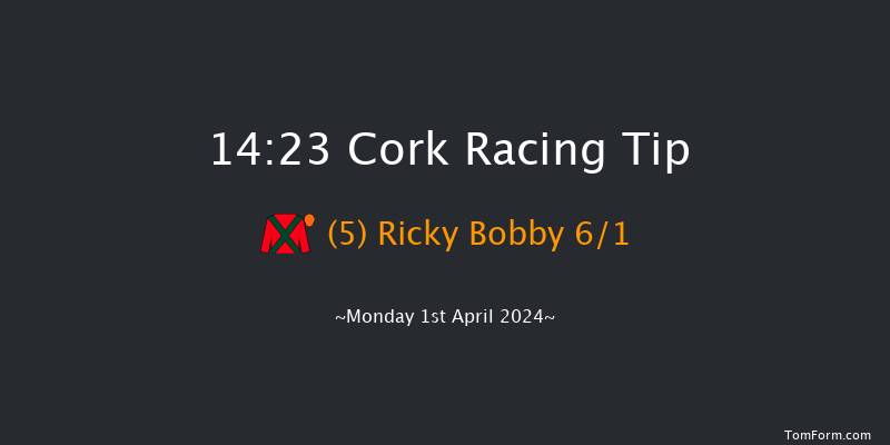 Cork  14:23 Handicap Hurdle 16f Sun 31st Mar 2024