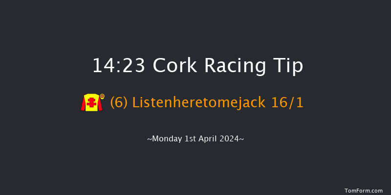 Cork  14:23 Handicap Hurdle 16f Sun 31st Mar 2024