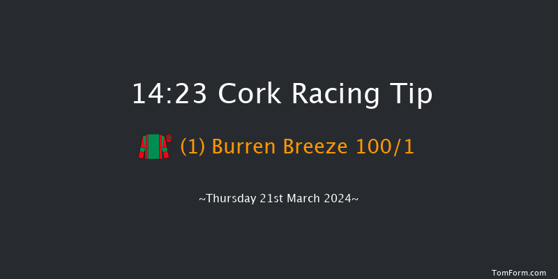 Cork  14:23 Maiden Hurdle 17f Sat 6th Jan 2024