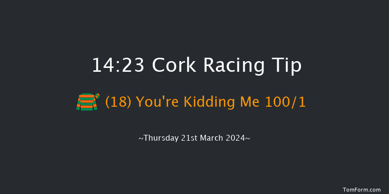 Cork  14:23 Maiden Hurdle 17f Sat 6th Jan 2024