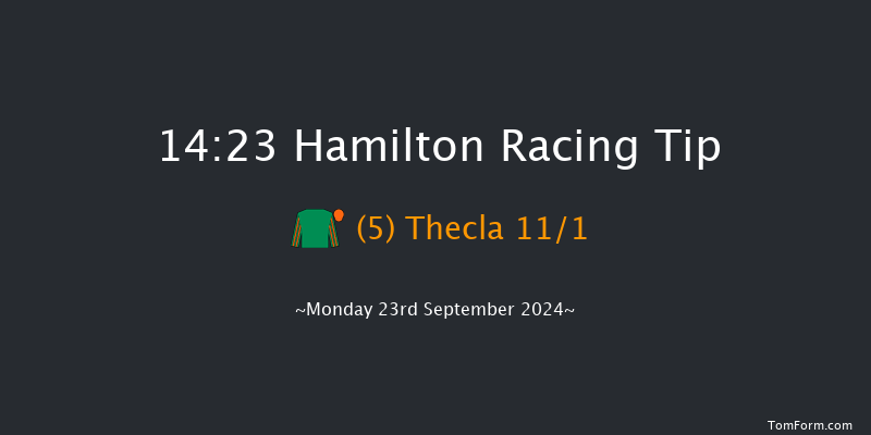 Hamilton  14:23 Maiden (Class 4) 6f Sun 22nd Sep 2024