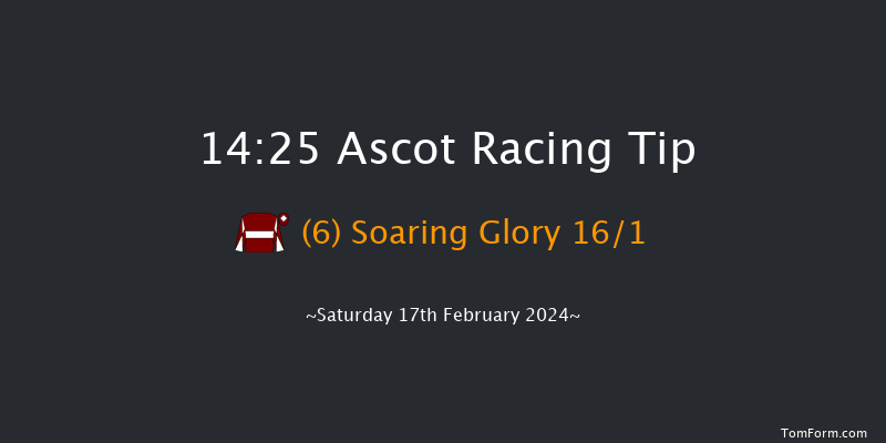 Ascot  14:25 Handicap Hurdle (Class 2) 19f Sat 23rd Dec 2023