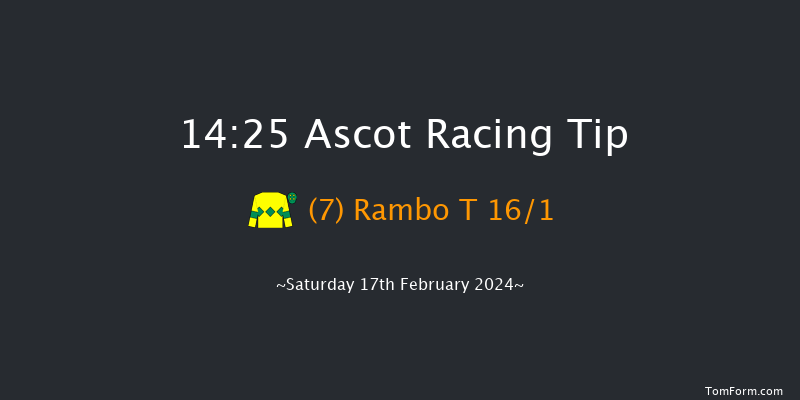 Ascot  14:25 Handicap Hurdle (Class 2) 19f Sat 23rd Dec 2023