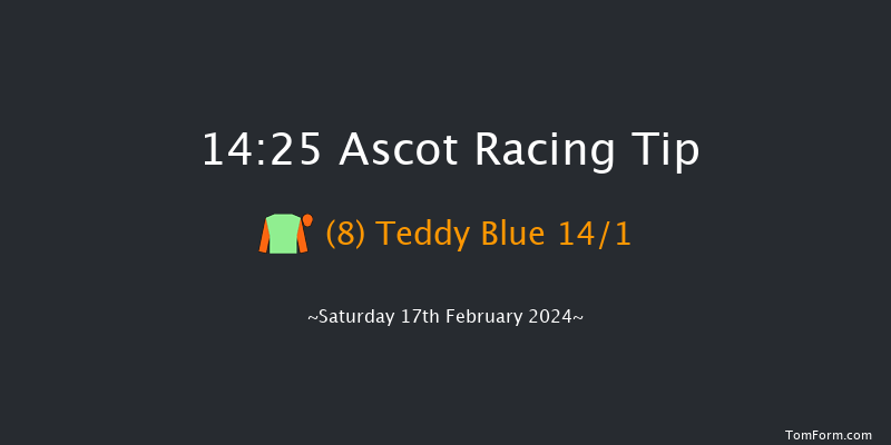 Ascot  14:25 Handicap Hurdle (Class 2) 19f Sat 23rd Dec 2023