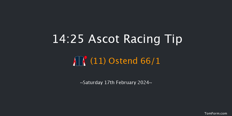 Ascot  14:25 Handicap Hurdle (Class 2) 19f Sat 23rd Dec 2023