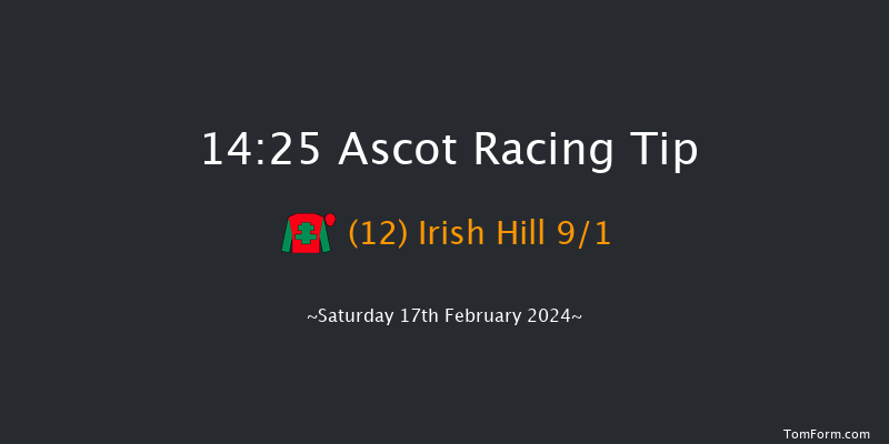 Ascot  14:25 Handicap Hurdle (Class 2) 19f Sat 23rd Dec 2023