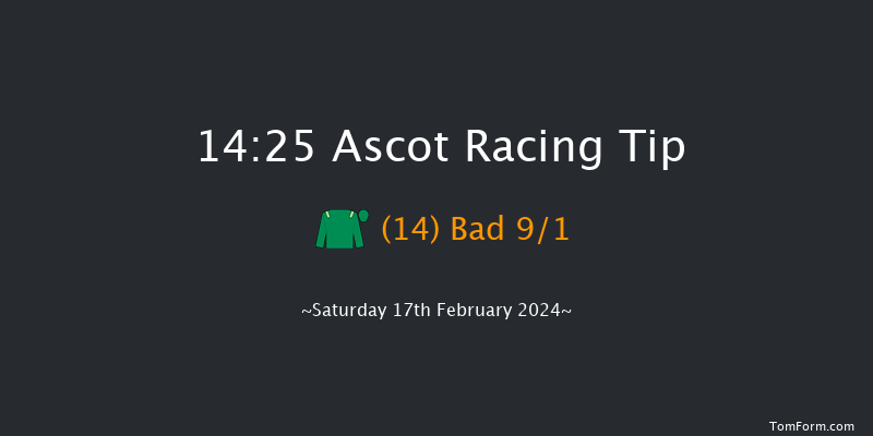 Ascot  14:25 Handicap Hurdle (Class 2) 19f Sat 23rd Dec 2023