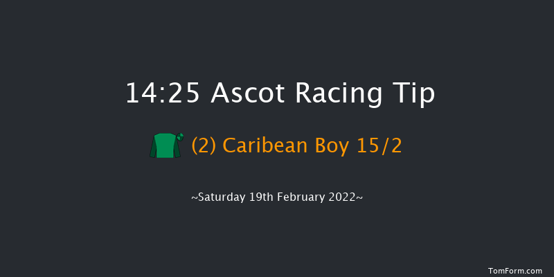 Ascot 14:25 Handicap Chase (Class 1) 24f Sat 22nd Jan 2022