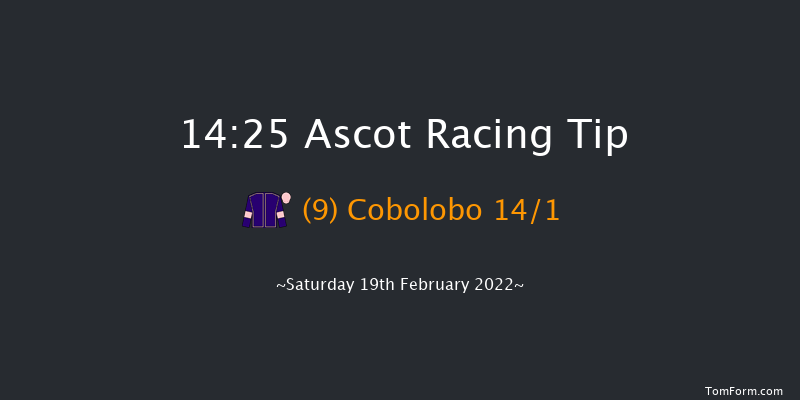 Ascot 14:25 Handicap Chase (Class 1) 24f Sat 22nd Jan 2022