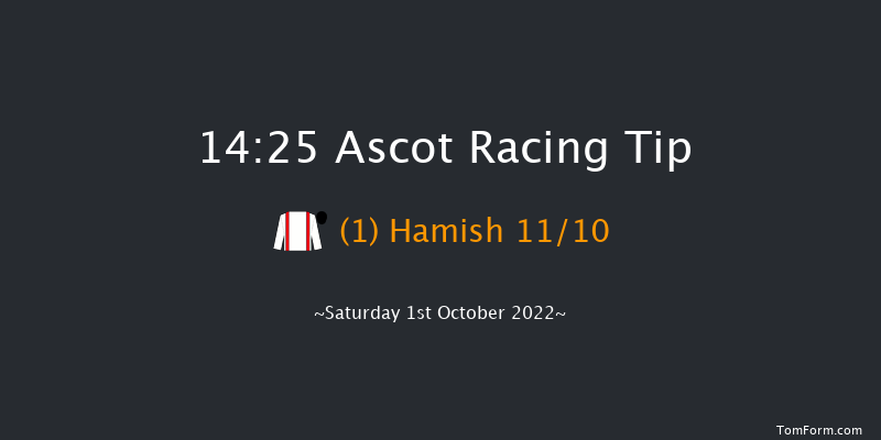 Ascot 14:25 Group 3 (Class 1) 12f Fri 30th Sep 2022