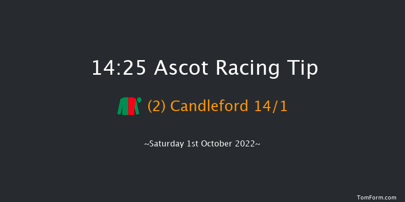 Ascot 14:25 Group 3 (Class 1) 12f Fri 30th Sep 2022