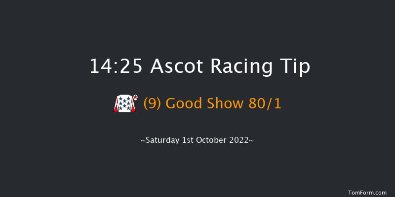 Ascot 14:25 Group 3 (Class 1) 12f Fri 30th Sep 2022