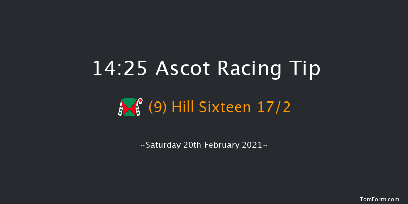 'My Oddsboost' On Betfair Swinley Chase (Listed Limited Handicap) (GBB Race) Ascot 14:25 Handicap Chase (Class 1) 24f Sat 23rd Jan 2021